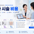 피부과 시술 비용
