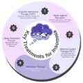 Insomnia Therapist