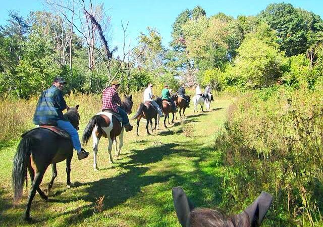 Smith Mountain Lake horseback riding