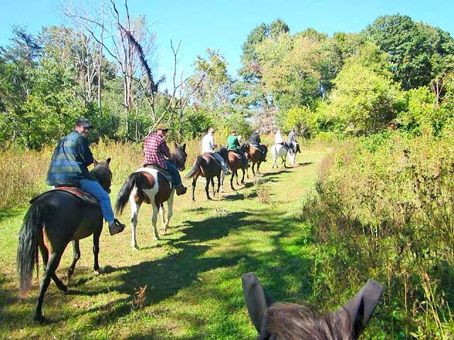 Smith Mountain Lake horseback riding
